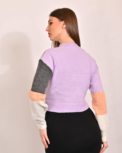 Polyester Full Sleeve with Crew Neck Colourblocked sweater