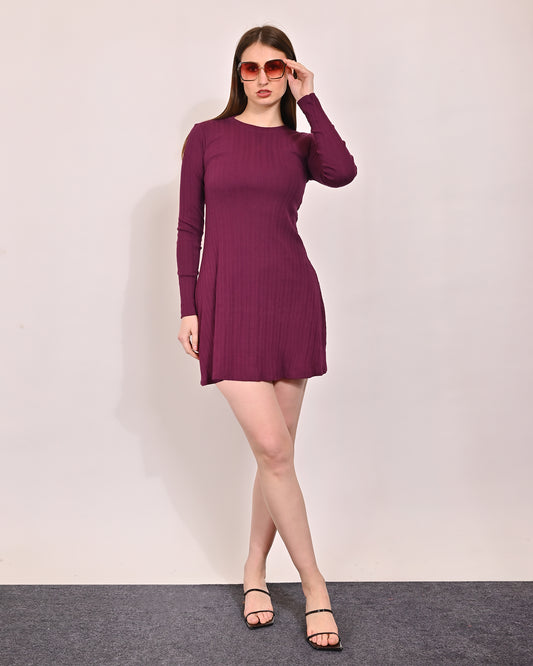 Acrylic Round Neck with Full Sleeve Shift Wine Dress