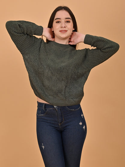 Polyester Round Neck Olive Color Regular Sweater