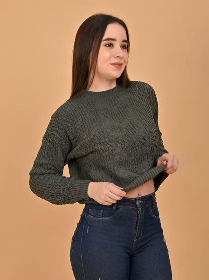 Polyester Round Neck Olive Color Regular Sweater