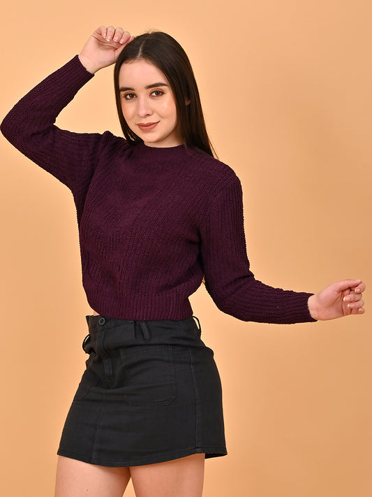 Polyester Round Neck Maroon Color Regular Sweater