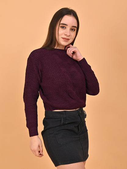 Polyester Round Neck Maroon Color Regular Sweater